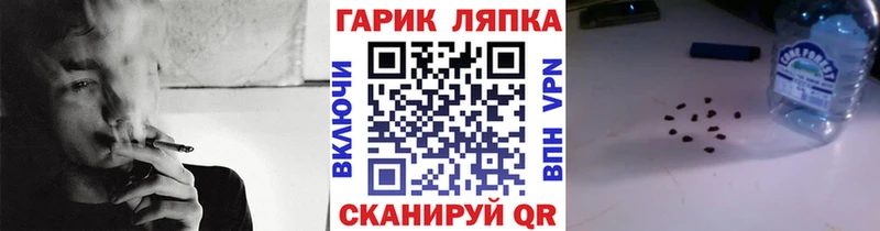 Купить  Вязьма  ГАШ индика сатива 