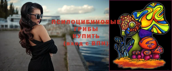гашик Козельск