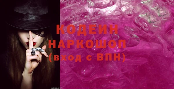 гашик Козельск