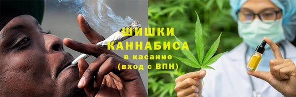гашик Козельск