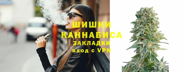 шишки Козловка