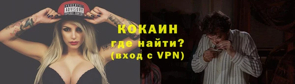гашик Козельск