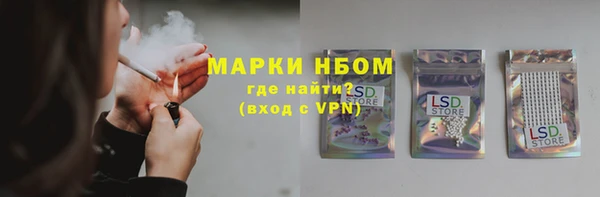 гашик Козельск