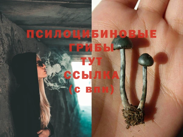гидропоника Кодинск