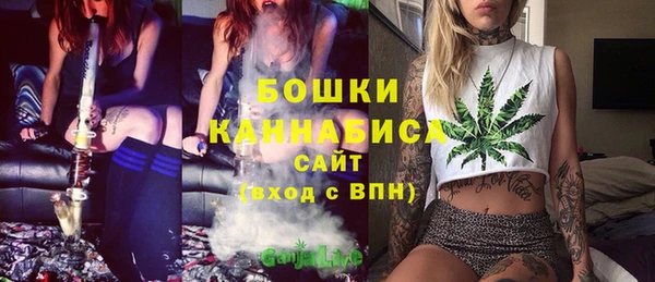 гашик Козельск