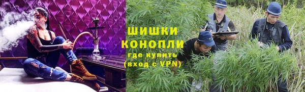 шишки Козловка