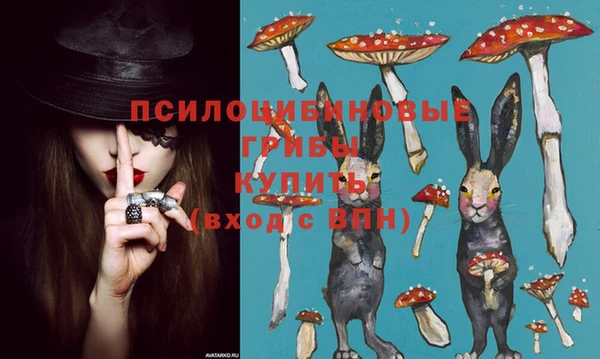 гашик Козельск