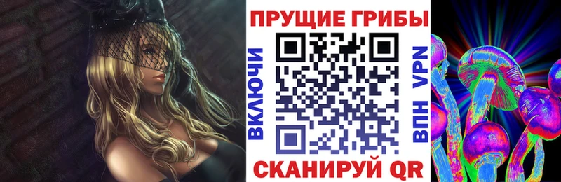 Купить закладки Вязьма Псилоцибиновые грибы Cubensis