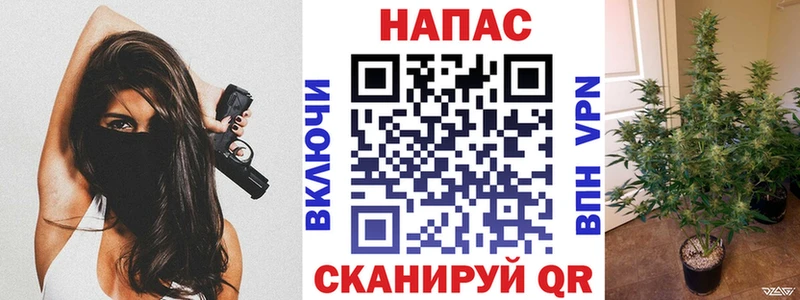 Купить  Вязьма  Канабис планчик 